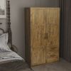 High wardrobe and kitchen cabinet with 2 doors; 2 drawers and 5 storage spaces; walnut