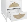 Natural rattan, 4 drawer cabinet, Suitable for living room, bedroom and study,Diversified storage