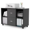 2 Drawer Wooden horizontal filing cabinet with 4 open storage shelves; black oak dark gray