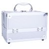 Aluminum Makeup Train Case Jewelry Box Cosmetic Organizer with Mirror 9"x6"x6" RT