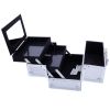 Aluminum Makeup Train Case Jewelry Box Cosmetic Organizer with Mirror 9"x6"x6" RT