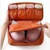 Travel Bra & Panty Organizer; Portable Underwear Organizer Zipper Storage Bag For Tie; Lingerie; Socks