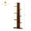 Open Concept Plant Display Shelf Rack Storage Holder