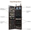 JewelryWall and Door Mounted Mirrored Jewelry Cabinet with Lights